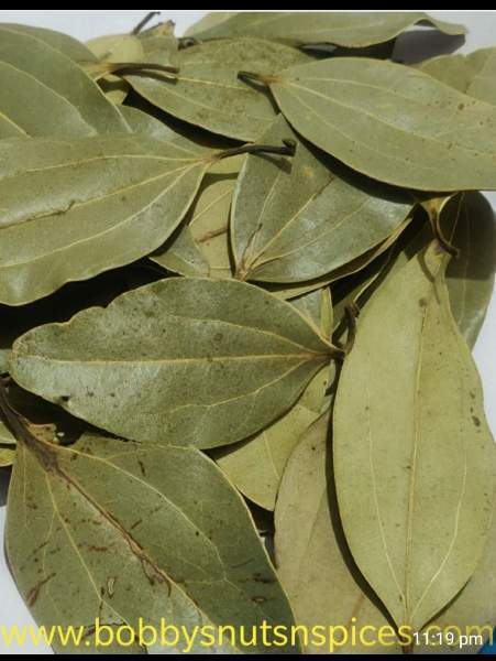 Bay leaf