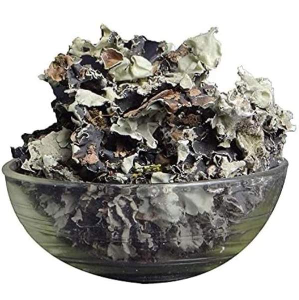 Stone flower(pathar phool)